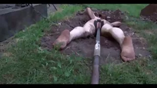 Fishnets iesūc ar dude, uztūcis beigām