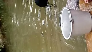Tumša āda uz gailis saņem maksimālu baudu