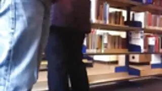 Chpoker aktīvi ir izdilis nerātns gailis ar seksuālās formas